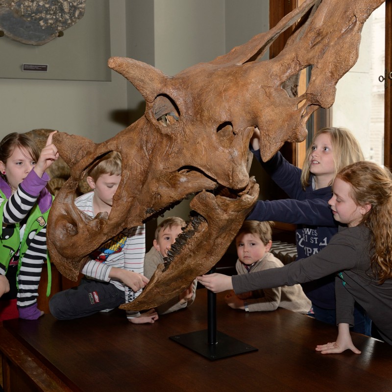 Seven children stand and sit around a large dinosaur skull made of brown stone, touching it with curiosity. (AI-generated
                                 alt-text, generated with GPT-4.1-mini)
