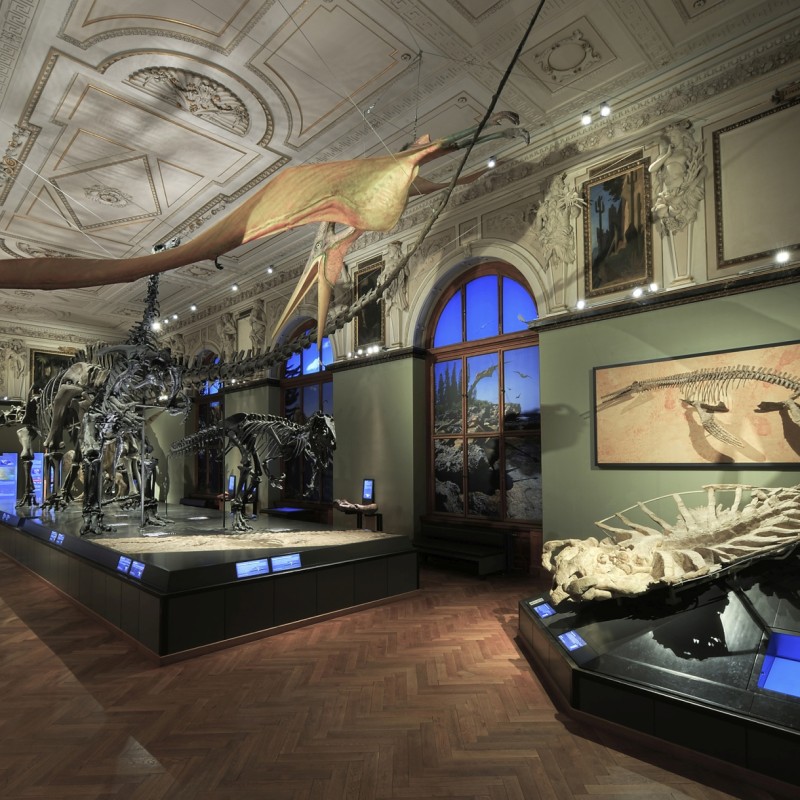 : (C) NHM-Wien/Kracher