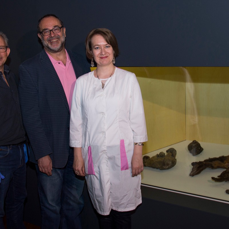 Zwei Männer und eine Frau stehen neben einer beleuchteten Vitrine mit mehreren Tierpräparaten. Die Frau trägt einen
                                 weißen Laborkittel. (KI-generierter Alt-Text, erstellt mit GPT-4.1-mini)