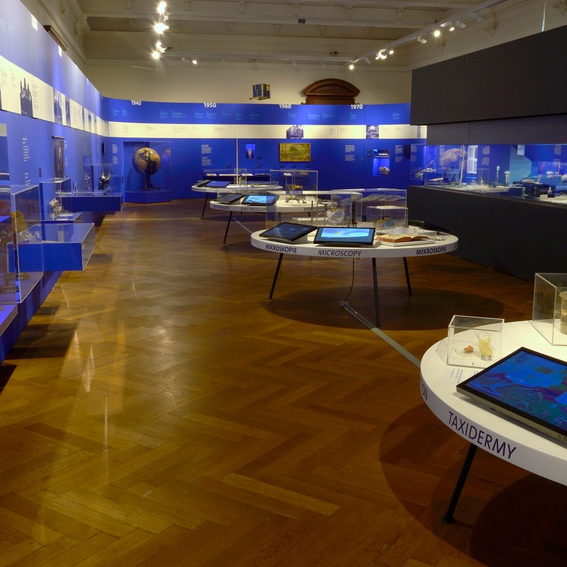 Exhibition hall with blue walls, display cases with exhibits, and large oval tables, some with tablets and taxidermy
                                 specimens. (AI-generated alt-text, generated with GPT-4.1-mini)