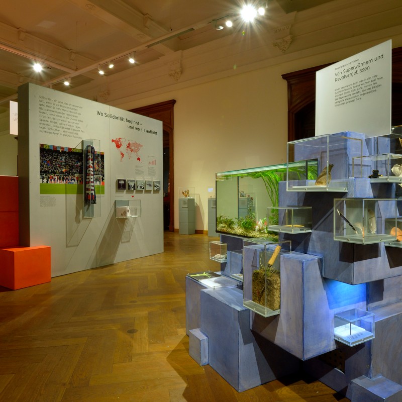 Ausstellung mit beleuchteten Vitrinen, die Präparate von Tieren und Pflanzen zeigen. Im Hintergrund graue Infotafeln
                                 mit Text und Fotos. (KI-generierter Alt-Text, erstellt mit GPT-4.1-mini)