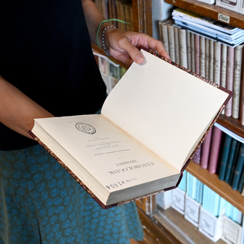 : ©NHM Wien; Chloe Potter 
