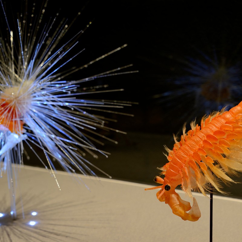Model
                                 of an adult crustacean with orange, segmented body and thin limbs. Stylized white structure with long thin spikes in the background.
                                 (AI-generated alt-text, generated with GPT-4.1-mini)