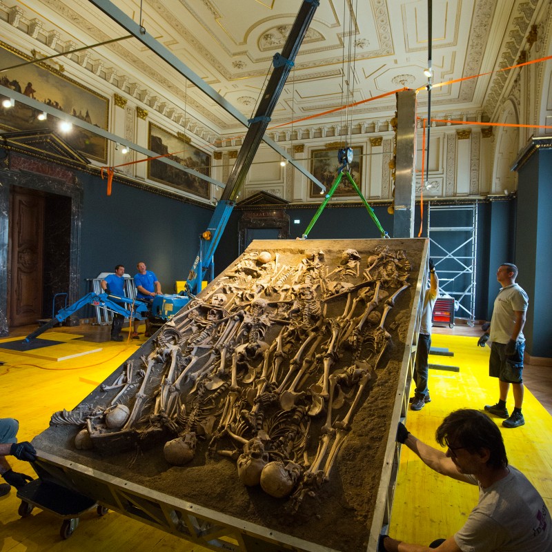 Group of skeletons embedded in soil layer on tilted platform, several people positioning it in ornate museum hall.
                                 (AI-generated alt-text, generated with GPT-4.1-mini)