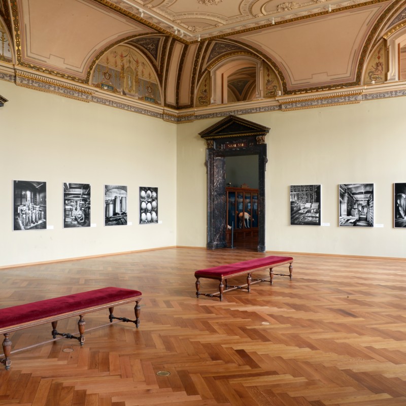 Ausstellung Insides im Saal 21; © NHM Wien,
                                 Alice Schumacher