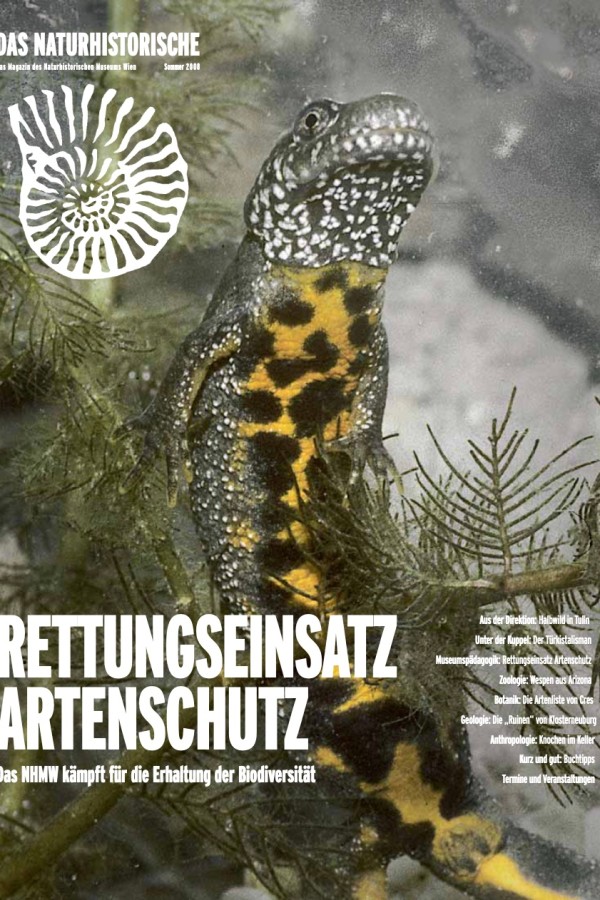 Ein
                                 Molch schwimmt zwischen Wasserpflanzen, daneben ein weißer Ammonitenumriss und markant platzierter Zeitschriftentitel sowie
                                 weitere Überschriften. (KI-generierter Alt-Text, erstellt mit GPT-4.1-mini)