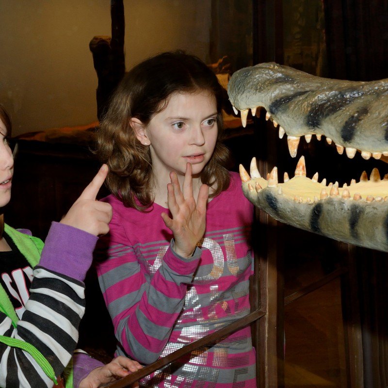 Two girls stand in front of a glass case with an open-mouthed crocodile specimen. One points at it, both look intrigued.
                                 (AI-generated alt-text, generated with GPT-4.1-mini)