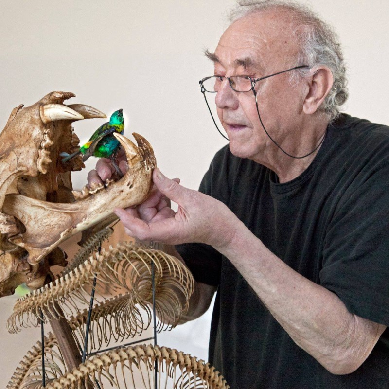 Man with glasses holds iridescent bird inside the open mouth of a large skeleton (AI-generated alt-text, generated
                                 with GPT-4.1-mini)
