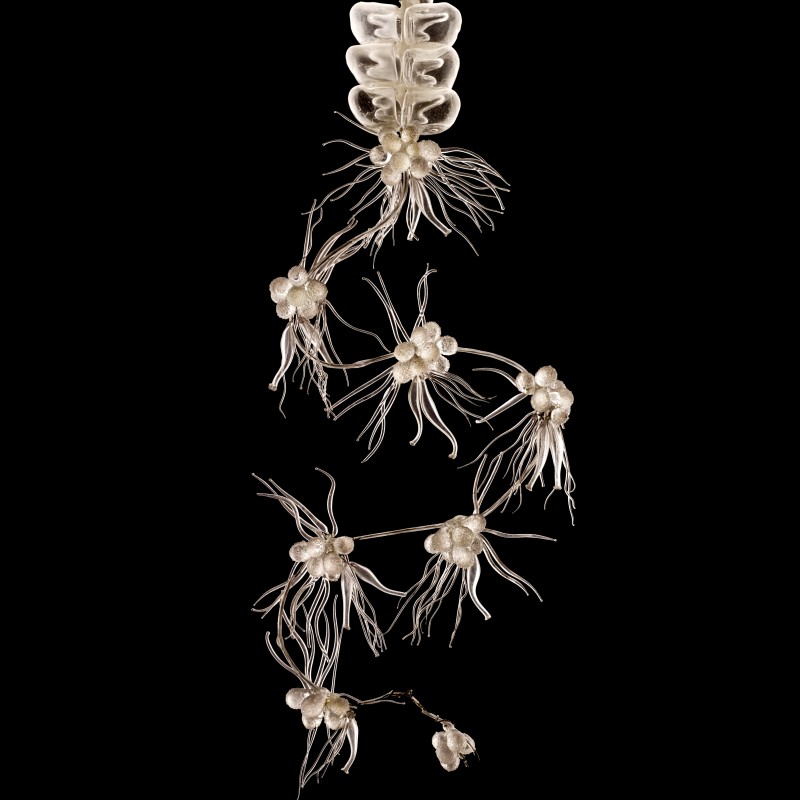 Glass model of an Apolemia uvaria with many transparent tentacles and segmented body parts on a dark background.
                                 (AI-generated alt-text, generated with GPT-4.1-mini)