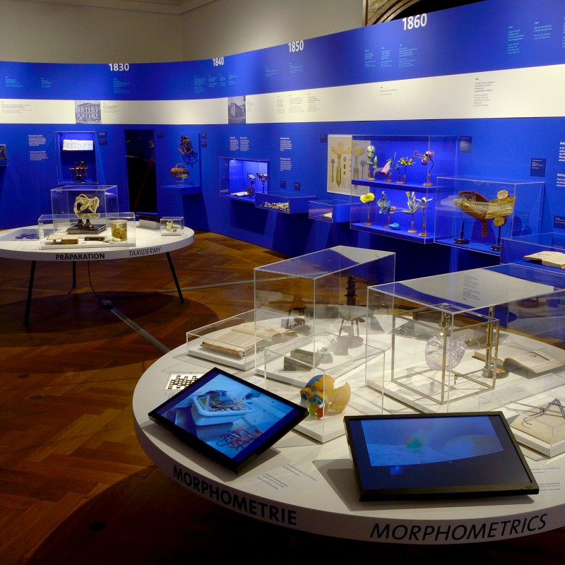 Exhibition room with blue wall panels, several display cases with specimens, and two monitors in the foreground.
                                 (AI-generated alt-text, generated with GPT-4.1-mini)