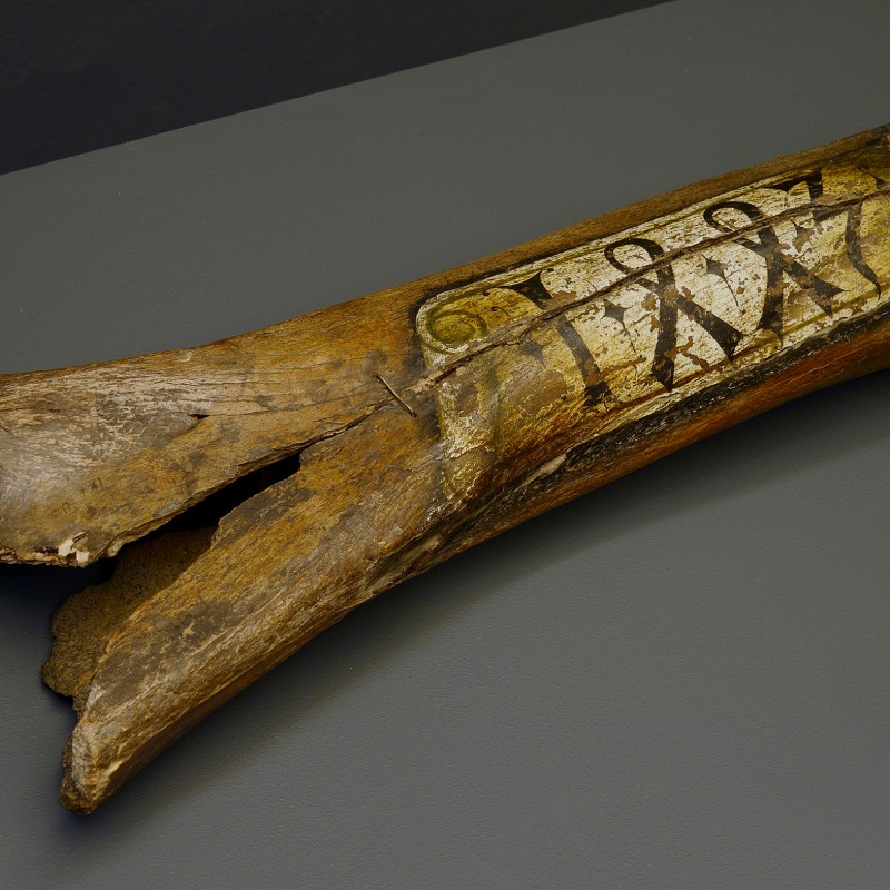 Large, brown mammoth bone with visible cracks; a light-colored label with bold writing attached. (AI-generated alt-text,
                                 generated with GPT-4.1-mini)