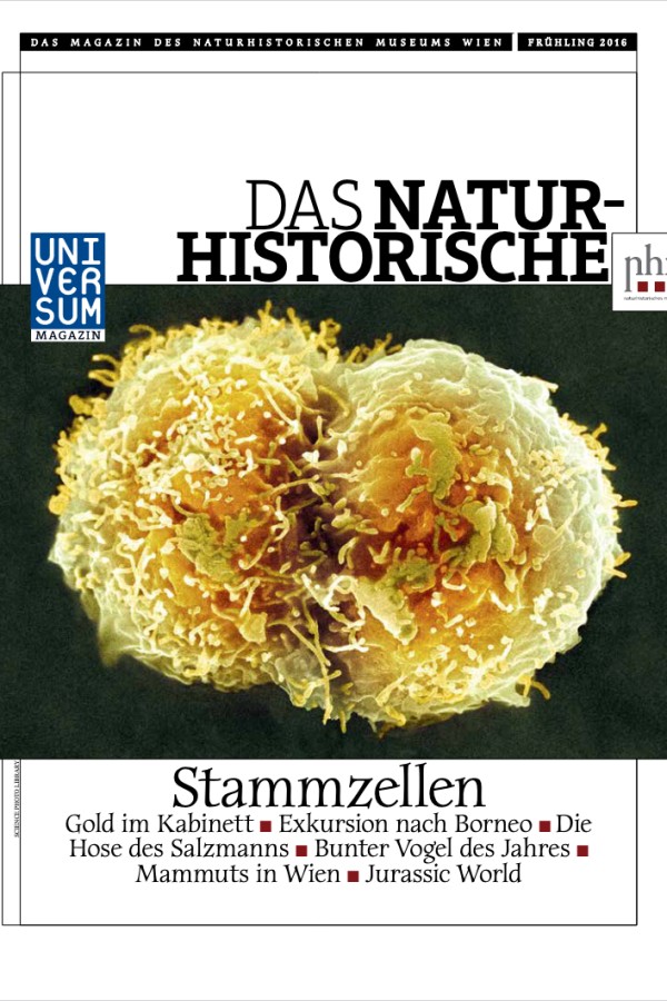 Großaufnahme
                                 von zwei kugelförmigen Stammzellen vor hellem Hintergrund, unten Titelseite mit Überschriften und klar lesbarem Text. (KI-generierter
                                 Alt-Text, erstellt mit GPT-4.1-mini)
