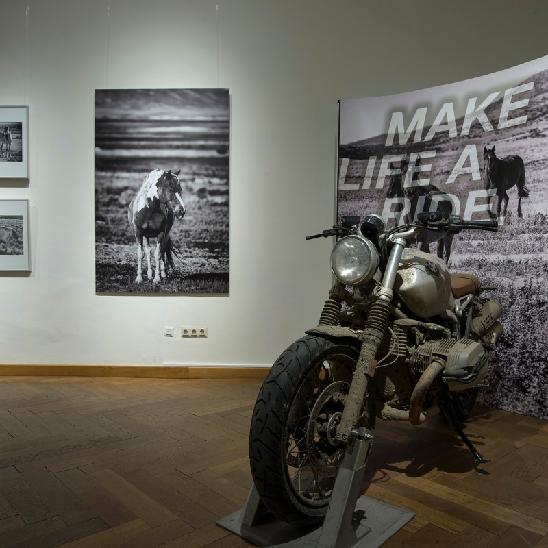 Motorcycle in front of large wall mural showing mustangs; nearby, several photographs with horse motifs hang on
                                 the wall. Large text: 'MAKE LIFE A RIDE'. (AI-generated alt-text, generated with GPT-4.1-mini)